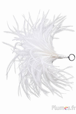 Pluim struisvogel met ring - hoogte 18-20 cm - wit